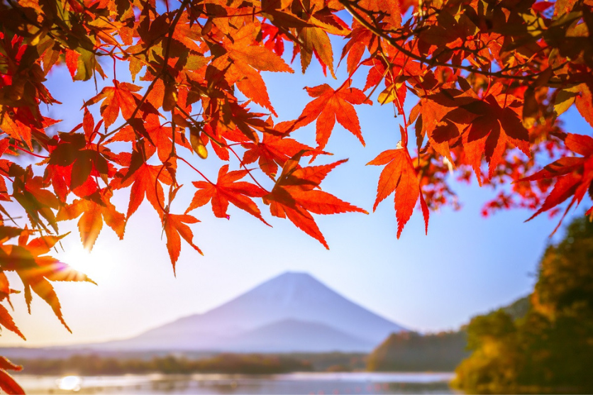 素敵な風景に出会いたい、秋・四季の富士山 ～前編～ | TAMRON